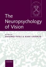 Neuropsychology of Vision