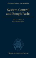 System Control and Rough Paths