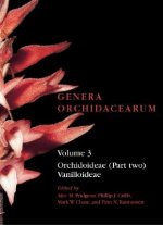 Genera Orchidacearum Volume 3