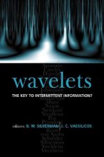Wavelets: the Key to Intermittent Information?