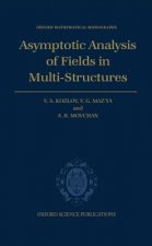 Asymptotic Analysis of Fields in Multi-structures