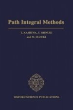 Path Integral Methods