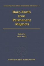 Rare-earth Iron Permanent Magnets