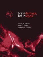 Brain Damage, Brain Repair