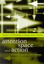 Attention, Space, and Action