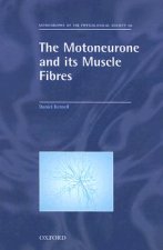 Motoneurone and its Muscle Fibres