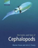 Brains and Lives of Cephalopods