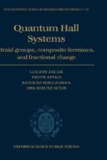 Quantum Hall systems
