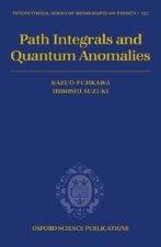 Path Integrals and Quantum Anomalies