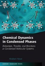 Chemical Dynamics in Condensed Phases