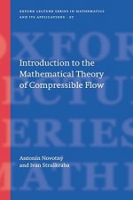 Introduction to the Mathematical Theory of Compressible Flow