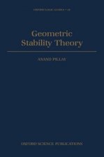 Geometric Stability Theory