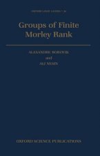 Groups of Finite Morley Rank