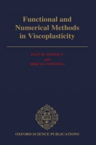 Functional and Numerical Methods in Viscoplasticity