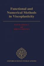 Functional and Numerical Methods in Viscoplasticity