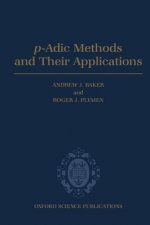 p-Adic Methods and Their Applications