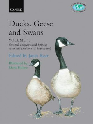 Ducks, Geese, and Swans