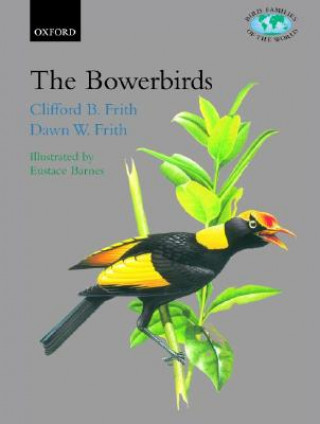Bowerbirds
