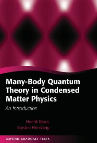 Many-Body Quantum Theory in Condensed Matter Physics