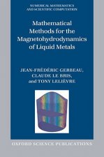 Mathematical Methods for the Magnetohydrodynamics of Liquid Metals