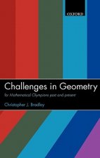 Challenges in Geometry