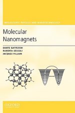 Molecular Nanomagnets
