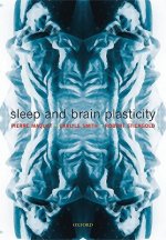 Sleep and Brain Plasticity