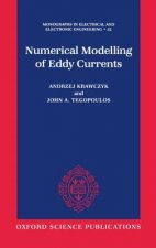Numerical Modelling of Eddy Currents