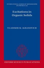 Excitations in Organic Solids