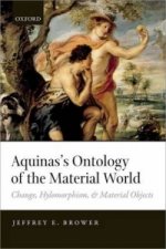 Aquinas's Ontology of the Material World