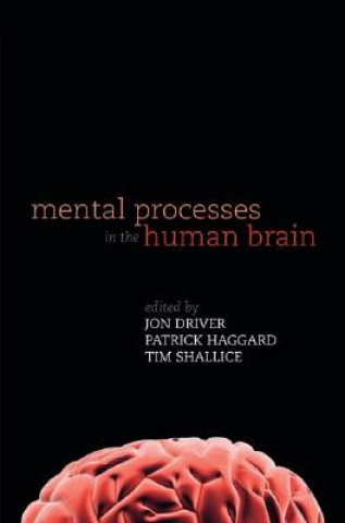 Mental Processes in the Human Brain