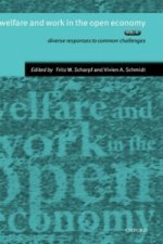 Welfare and Work in the Open Economy: Volume II: Diverse Responses to Common Challenges in Twelve Countries