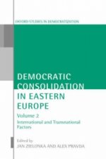 Democratic Consolidation in Eastern Europe: Volume 2: International and Transnational Factors