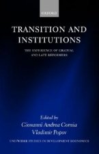 Transition and Institutions