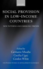 Social Provision in Low-Income Countries