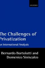 Challenges of Privatization