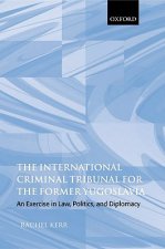 International Criminal Tribunal for the Former Yugoslavia