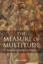 Measure of Multitude