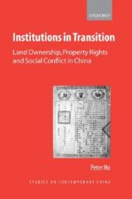 Institutions in Transition