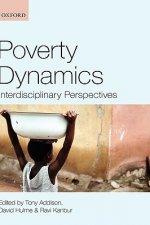 Poverty Dynamics