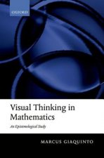 Visual Thinking in Mathematics