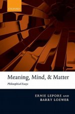 Meaning, Mind, and Matter