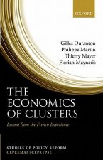 Economics of Clusters