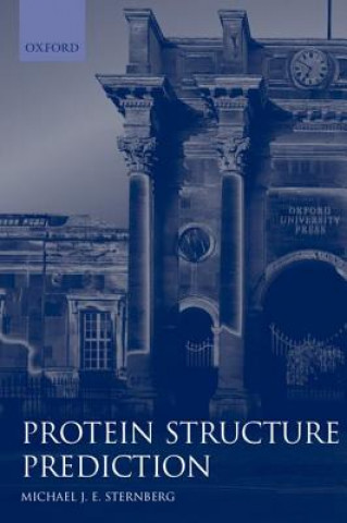 Protein Structure Prediction