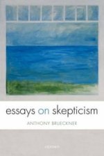 Essays on Skepticism