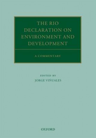 Rio Declaration on Environment and Development