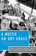 Match on Dry Grass