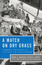 Match on Dry Grass
