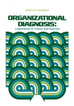 Organizational Diagnosis
