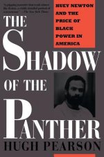 Shadow of the Panther